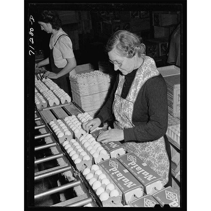 How The Nation Survived The Great Depression & Saved The American History